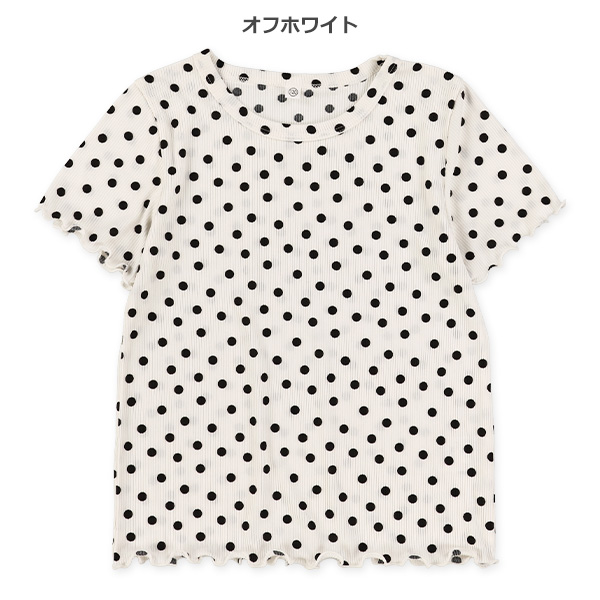 テレコボーダードットメロウ半袖Tシャツ