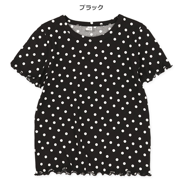 テレコボーダードットメロウ半袖Tシャツ