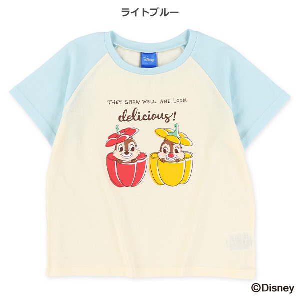 ラグラン半袖Tシャツ（チップとデール）