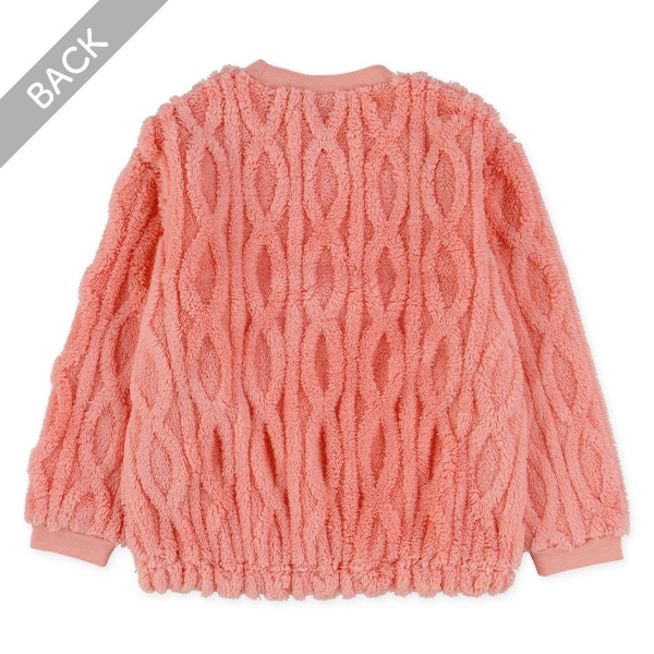 フリースケーブルトレーナー