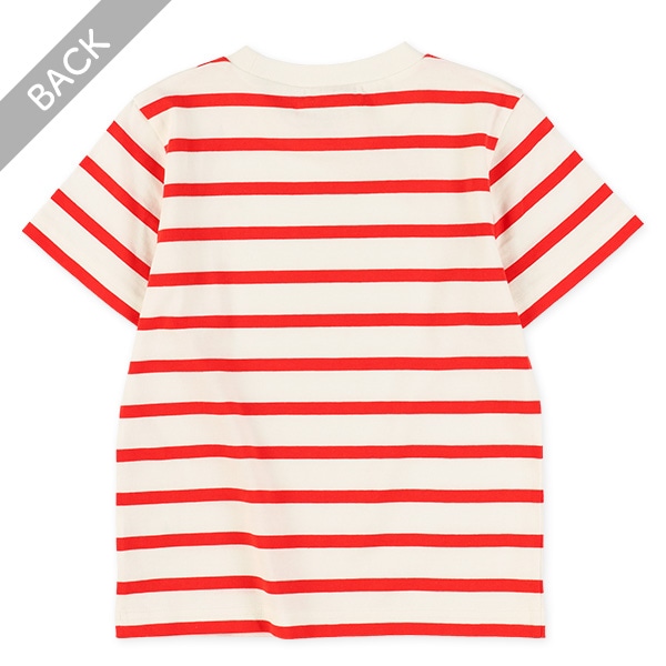 シングルボーダー半袖Tシャツ