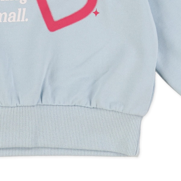 ミニ裏毛ハートロゴ箔プリント薄手トレーナー