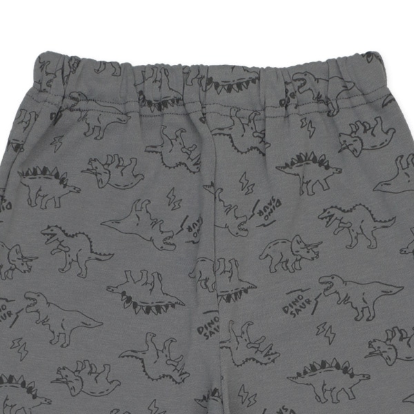 裏毛長袖パジャマ（恐竜）