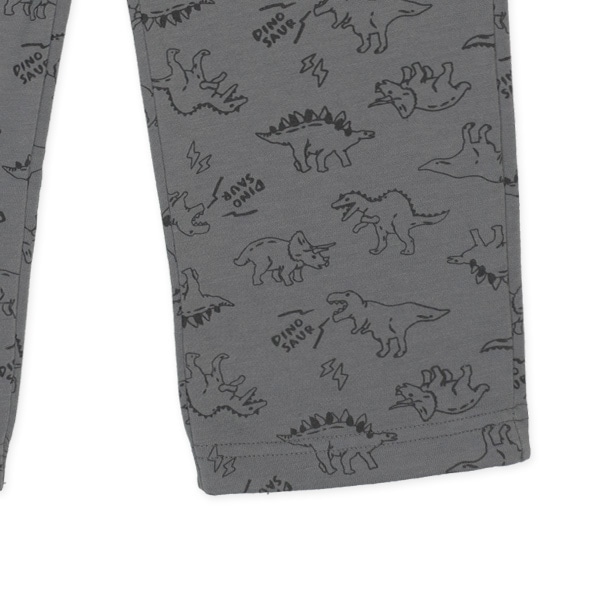 裏毛長袖パジャマ（恐竜）