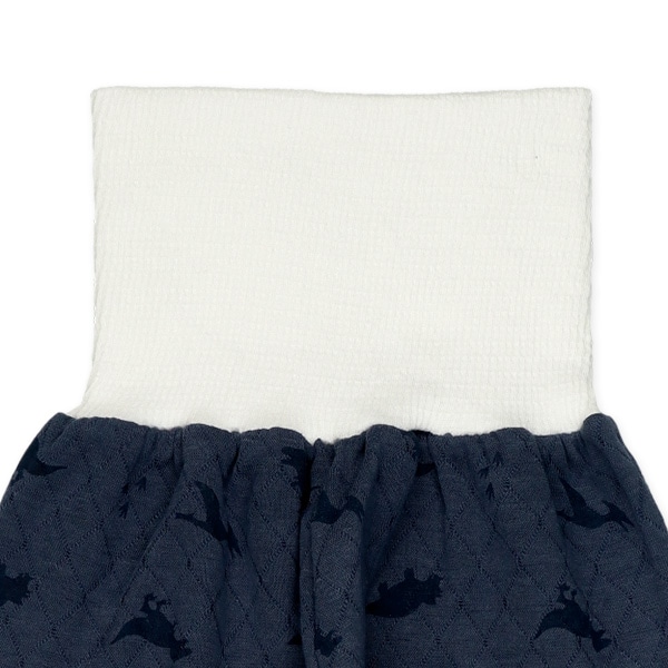 2枚組ソフトキルト腹巻付きスペアパンツ（恐竜）