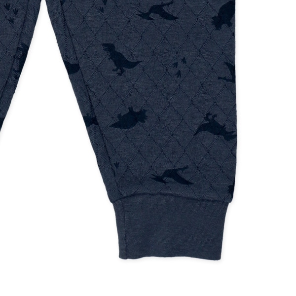 2枚組ソフトキルト腹巻付きスペアパンツ（恐竜）