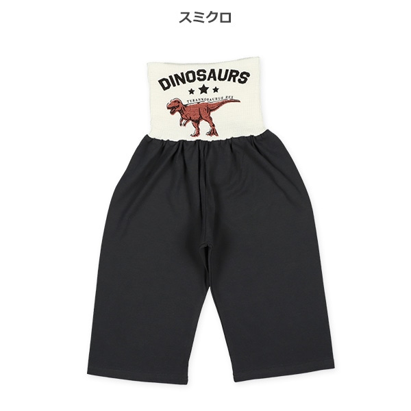 2枚組腹巻付きスペアパンツ（恐竜）