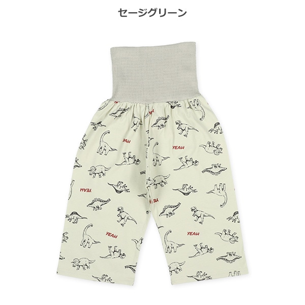 2枚組腹巻付きスペアパンツ（恐竜）