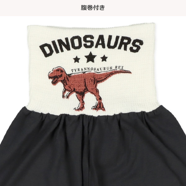 2枚組腹巻付きスペアパンツ（恐竜）
