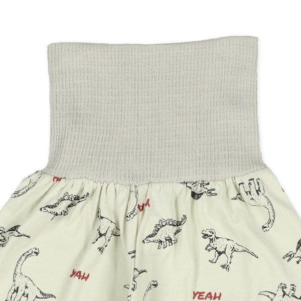 2枚組腹巻付きスペアパンツ（恐竜）