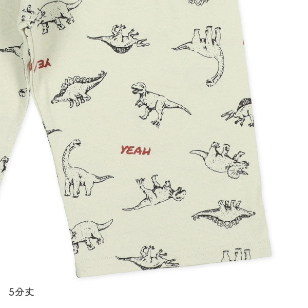 2枚組腹巻付きスペアパンツ（恐竜）
