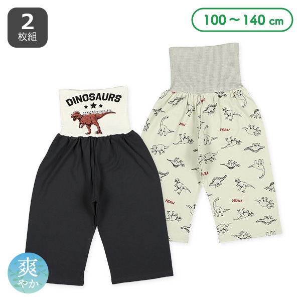2枚組腹巻付きスペアパンツ（恐竜）