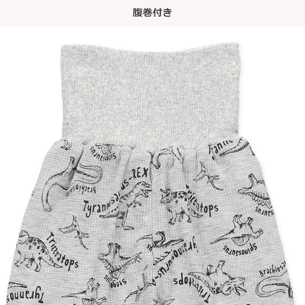 2枚組腹巻付きどっちもまえワッフルスペアパンツ（恐竜・ボーダー）