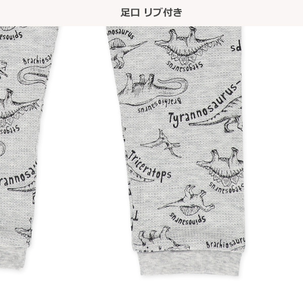 2枚組腹巻付きどっちもまえワッフルスペアパンツ（恐竜・ボーダー）