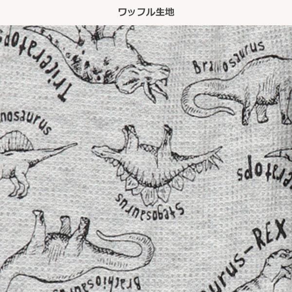 2枚組腹巻付きどっちもまえワッフルスペアパンツ（恐竜・ボーダー）