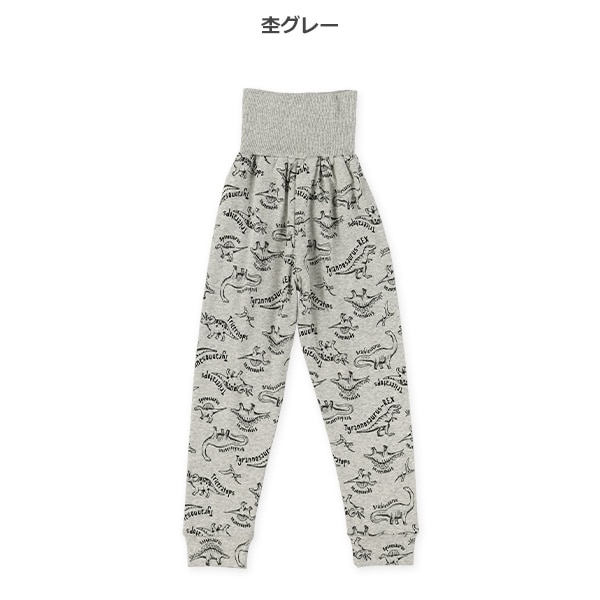 2枚組腹巻付きどっちもまえスペアパンツ（恐竜・無地）