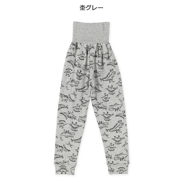 2枚組腹巻付きスペアパンツ（ボーダー・恐竜）