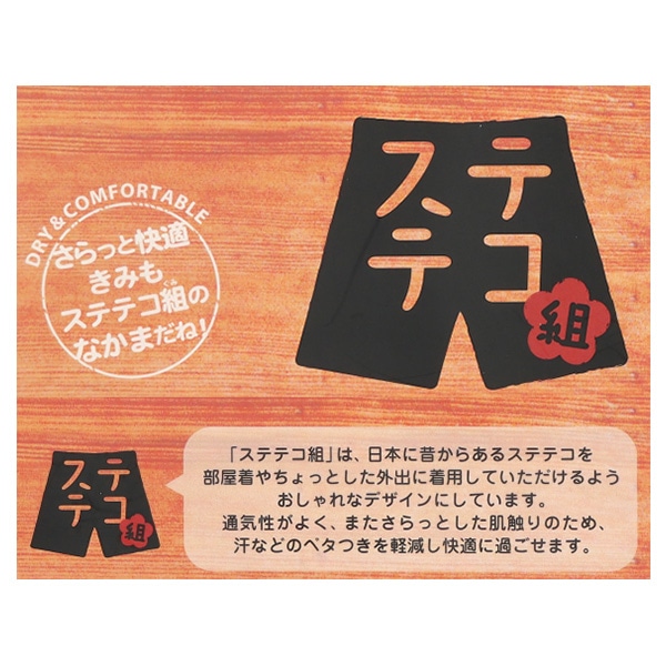 ステテコ（恐竜・星）