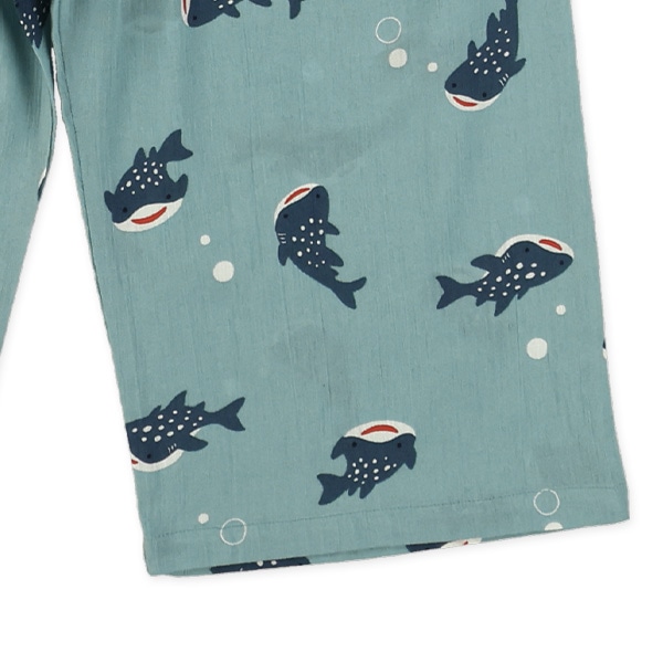 ステテコ（ジンベエザメ）