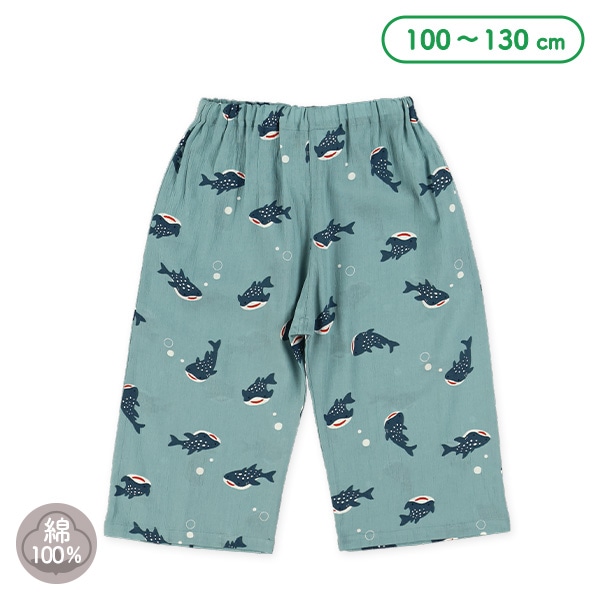 ステテコ（ジンベエザメ）