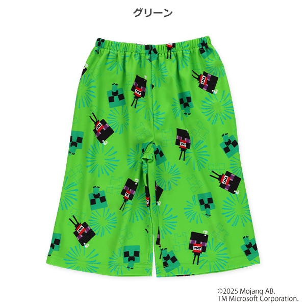 エステルメッシュステテコ（マインクラフト）