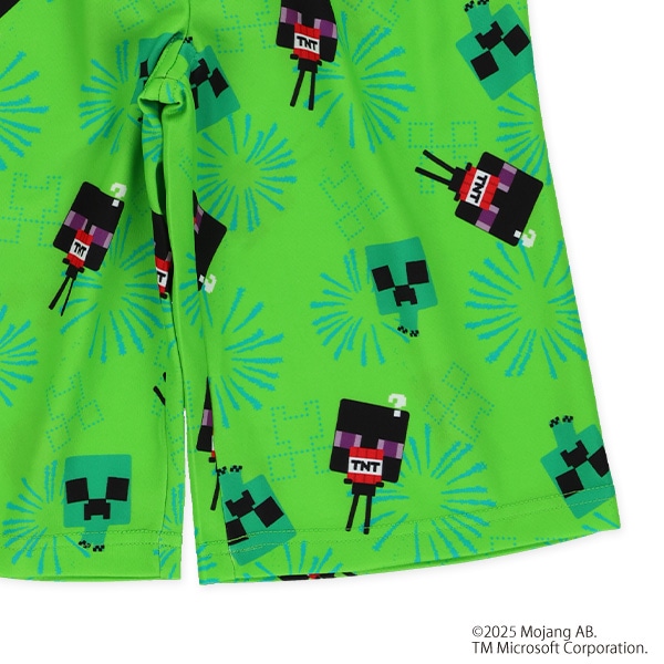 エステルメッシュステテコ（マインクラフト）