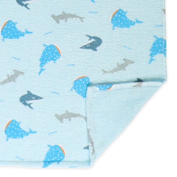 無撚糸タオルケット（ジンベエザメ）