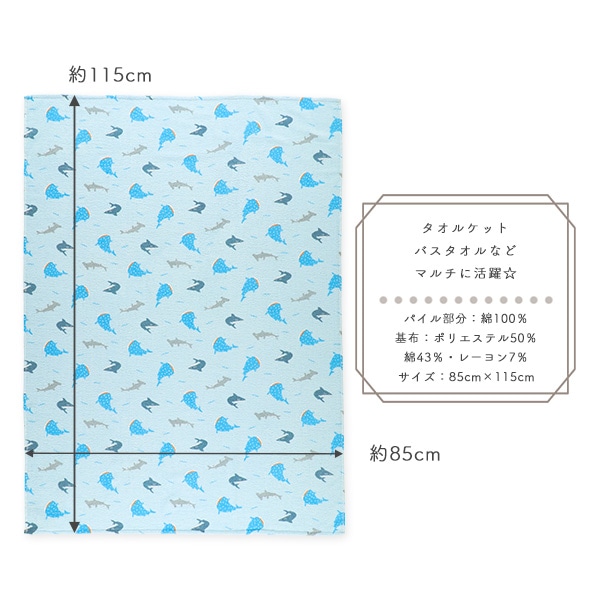 無撚糸タオルケット（ジンベエザメ）