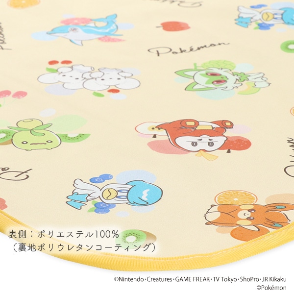 2枚組マルチシート（ポケモン）