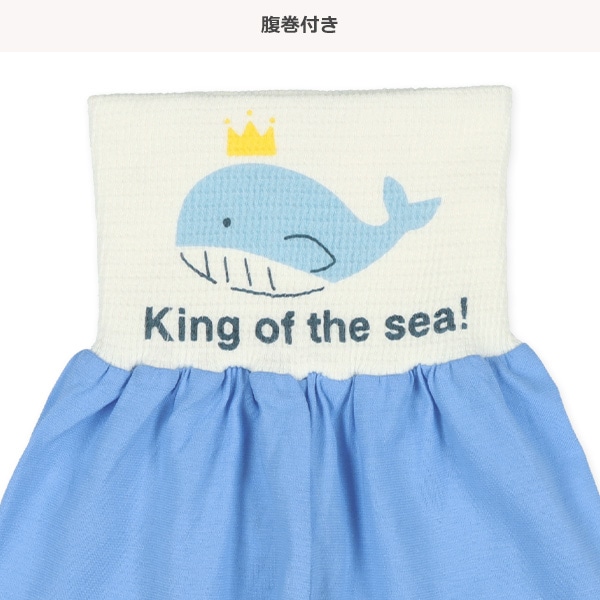 2枚組腹巻付きスペアパンツ（くじら）