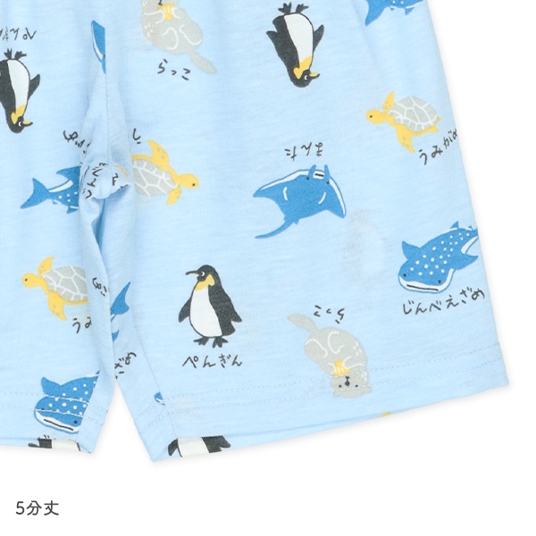 腹巻付き半袖パジャマ（海の図鑑総柄）