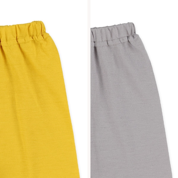 2枚組ラグラン半袖パジャマ（ライオン・ぞう）