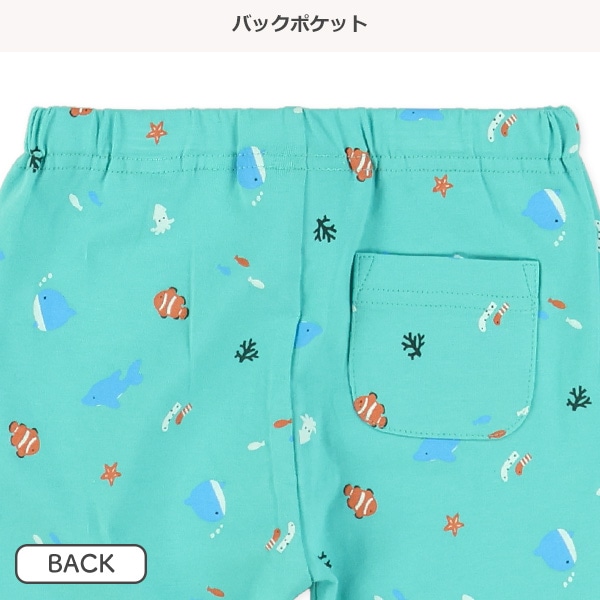 5分丈海の生き物レギンス