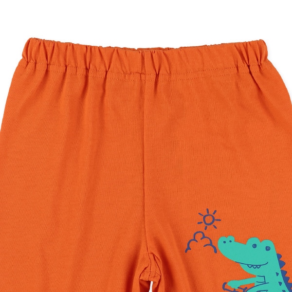 4分丈アニマルハーフパンツ