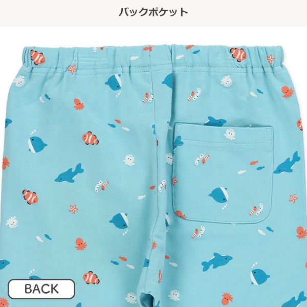 5分丈海の生き物レギンス