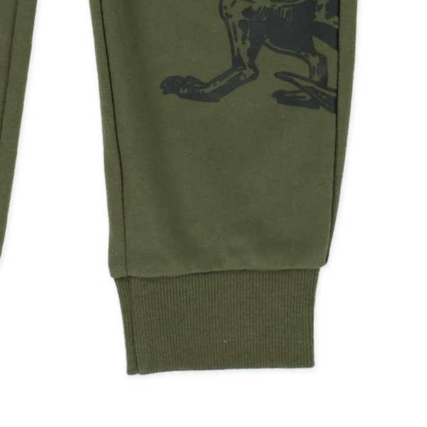 ミニ裏毛はたらくくるま・恐竜パンツ