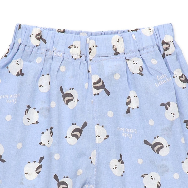 ステテコ（シマエナガ）