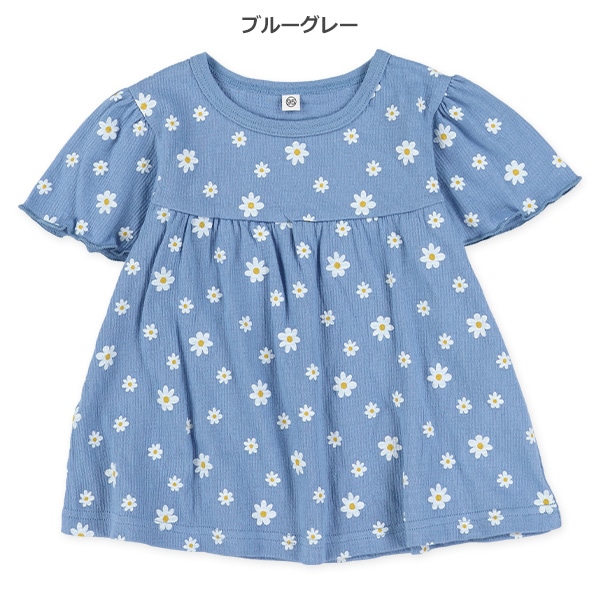 ニット楊柳半袖ブラウス