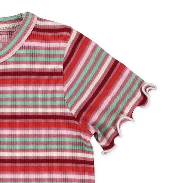 テレコボーダードットメロウ半袖Tシャツ