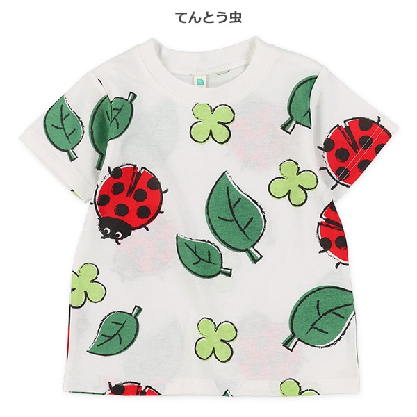 てんとう虫・みつばち半袖Tシャツ