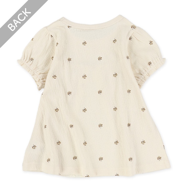 クレープニットレース切り替え半袖Tシャツ