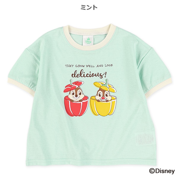 リンガー半袖Tシャツ（チップとデール）