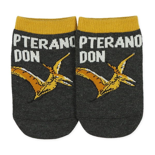 3足組キッズローカットソックス（恐竜）