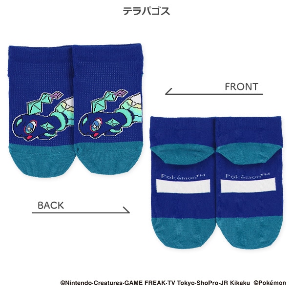 キッズローカットソックス（黄色いメガルカリオ・マスカーニャ・テラパゴス・リザードン）