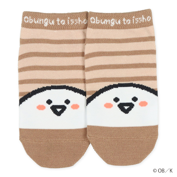3足組キッズローカットソックス（お文具といっしょ）