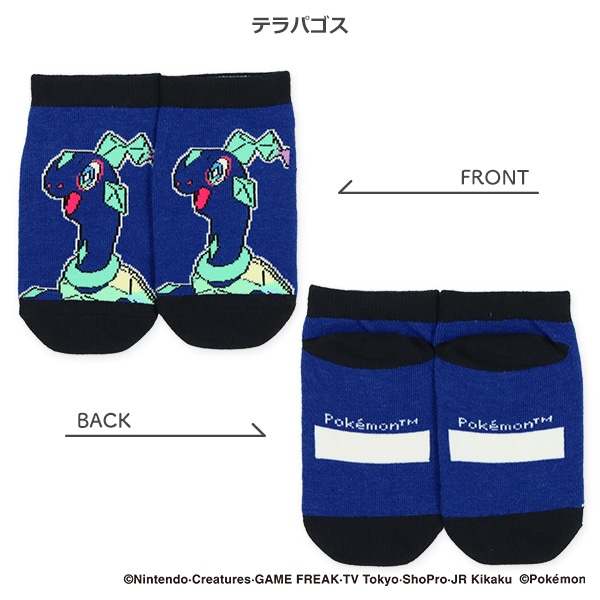 キッズローカットソックス（ファイヤー・テラパゴス・メガリザードンY）
