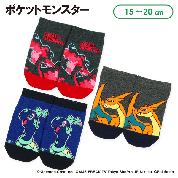 キッズローカットソックス（ファイヤー・テラパゴス・メガリザードンY）