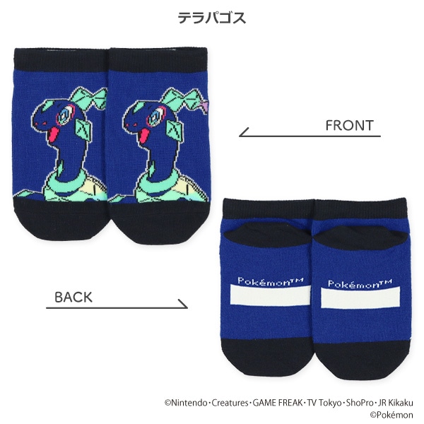 キッズローカットソックス（ラウドボーン・マスカーニャ・テラパゴス・ウェーニバル）