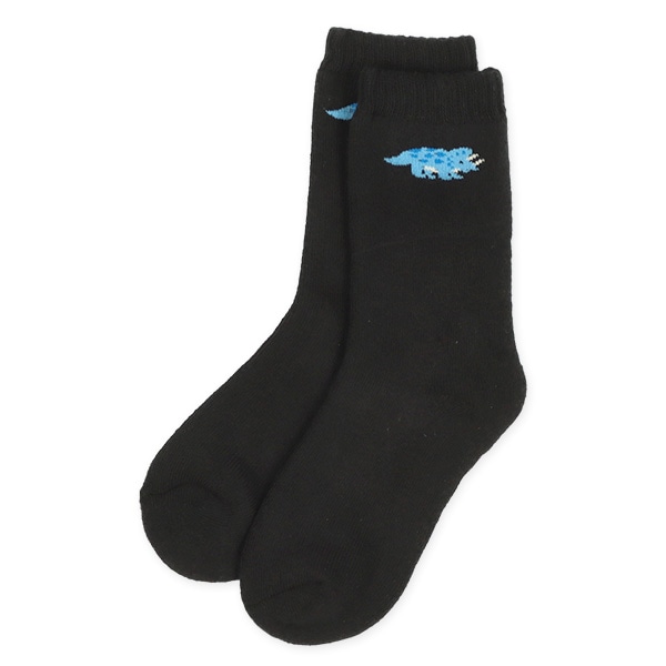 2足組あったかパイルキッズクルーソックス（恐竜）