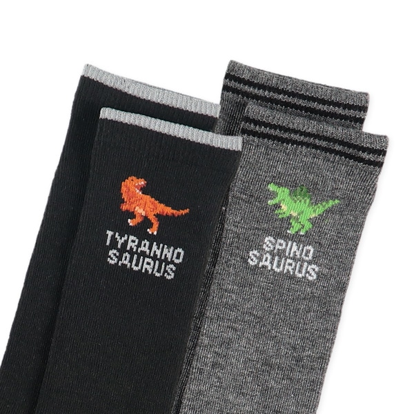 HOTWRAP）2足組キッズハイソックス（恐竜）